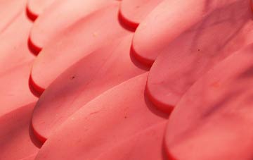 Waterthorpe plastic roof costs