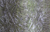 Waterthorpe fibreglass roof work